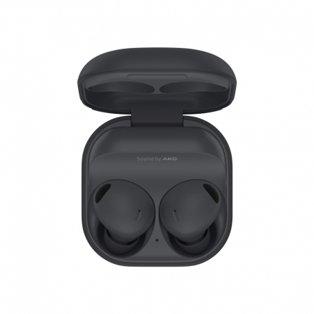 Samsung Galaxy Buds2 Pro Graphite