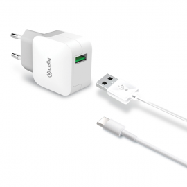Celly Travel Adapter 2.4A Kit Usb Type -C Cable White