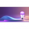 Xiaomi Smart LED Bulb White and Color